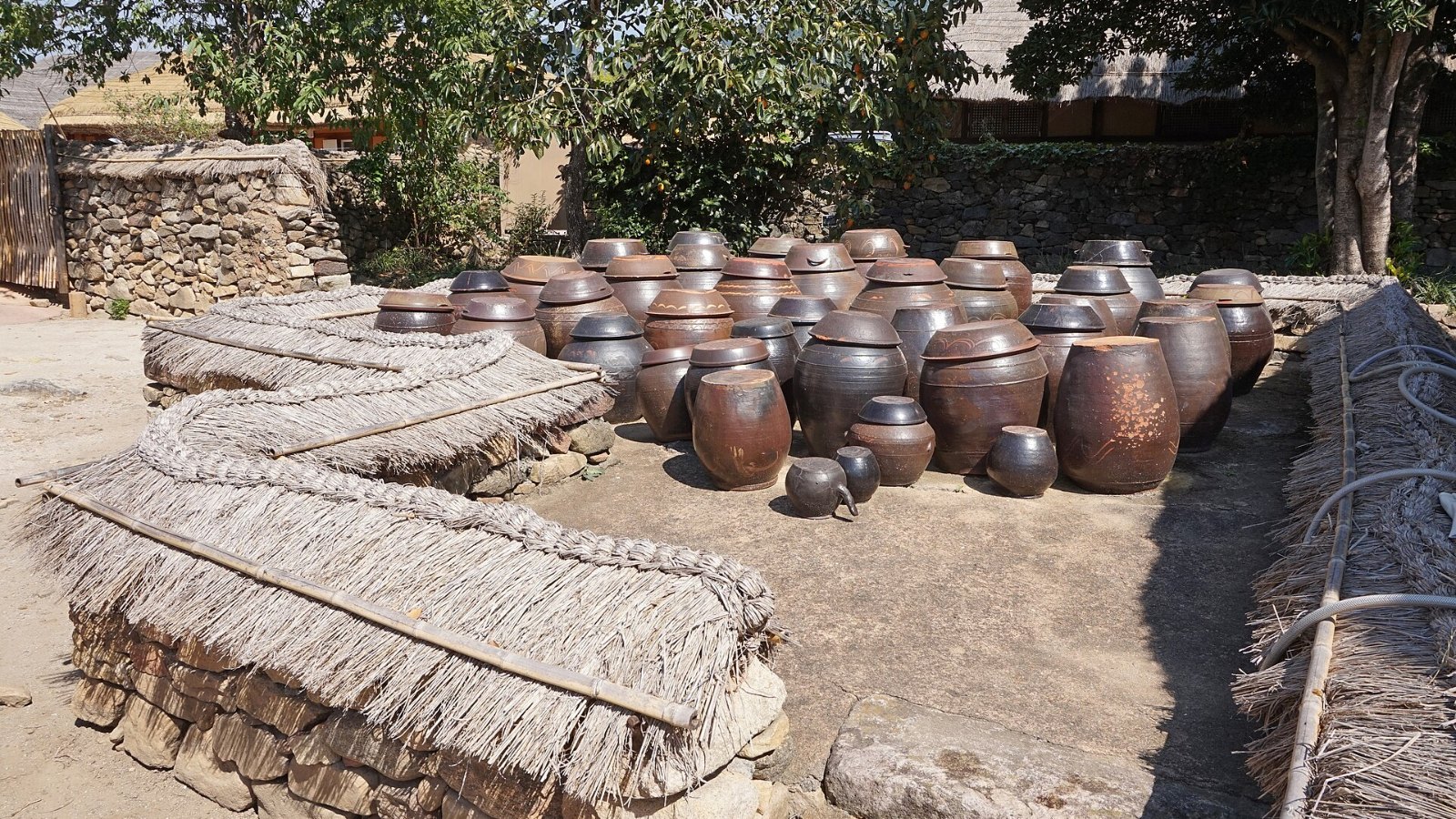 Rows of brown onggi earthenware jars, some under straw covers, in a traditional Korean village yard